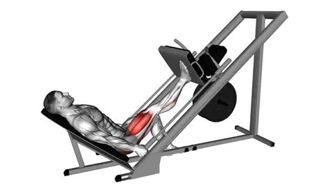 Sled 45 Degrees One Leg Press Video Guide Lyfta