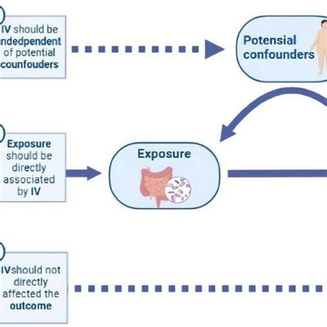 The Basic Principles And Core Assumptions Of Mendelian Randomization