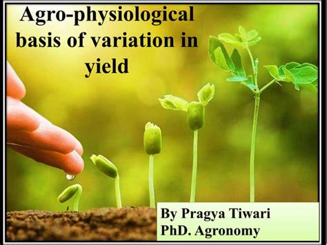 Agro Physiological Basis Of Variation In Yieldpptx