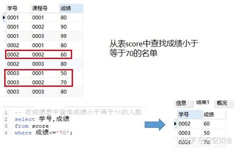 Sql查询语句 知乎