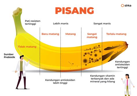 Tingkat Kematangan Pisang - Beda Kematangan, Beda Rasa?