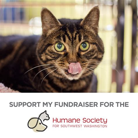 Fundraising Tools Humane Society For Southwest Washington