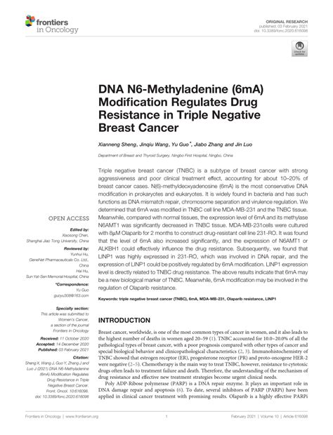 PDF DNA N6 Methyladenine 6mA Modification Regulates Drug Resistance