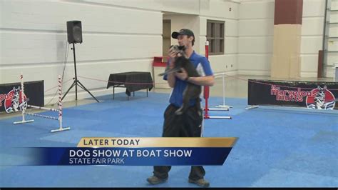 Dogs at the Milwaukee Boat Show