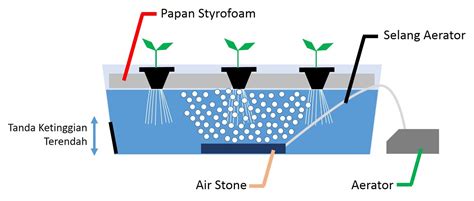 Cara Bertanam Hidroponik Sistem Rakit Apung Untuk Pemula Bahan Bahan