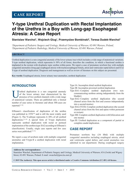 Pdf Y Type Urethral Duplication With Rectal Implantation Of The