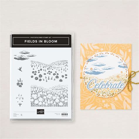 Set De Tampons Fields Of Bloom De Stampin Up