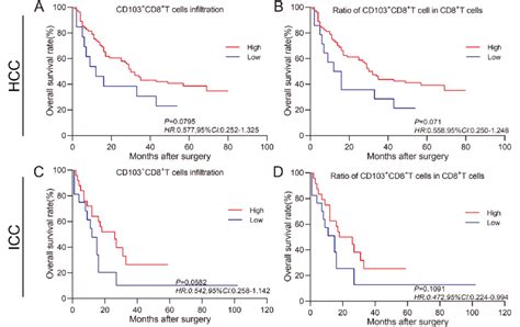 Prognostic Values Of Tissue Resident CD103 CD8 T Cells In Tumor