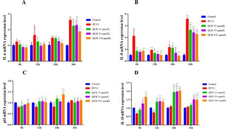 Figure From Intervening Effects And Molecular Mechanism Of Quercitrin