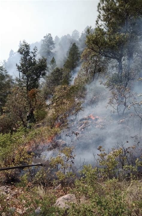 Hay Ocho Incendios Forestales Activos