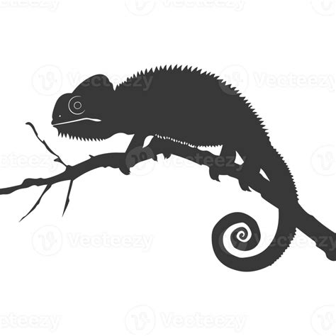 Silhouette Chameleon Animal Black Color Only Full Body 43030500 Png