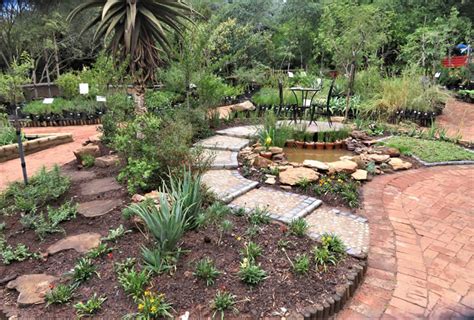 Create A Small Bird Friendly Garden Using South African Indigenous