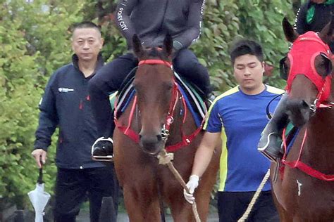 【安田記念】ロマンチックウォリアーには逆らえない！ マイルも左回りも最強馬には問題なし｜競馬ニュース｜競馬予想のウマニティ