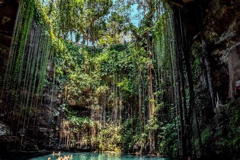 25 Things To Know About Cenote Ik Kil Yucatan - Traveltomtom.net