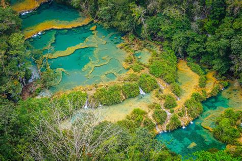 Discover Semuc Champey Guatemala A Natural Wonder Of Turquoise Pools