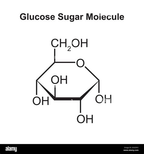 Ilustración Química De La Molécula De Azúcar De Glucosa Ilustración De