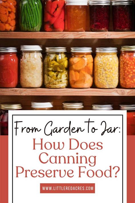 From Garden to Jar: How Does Canning Preserve Food?