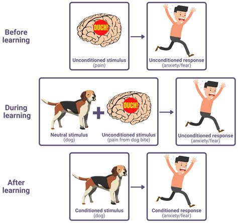 Psychopathology Psychology A Level