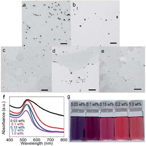 Characterizations Of Aunps Graphene Composite A Sem Image Of