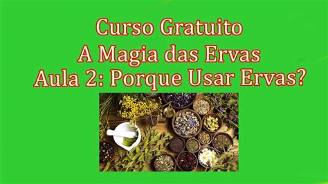 Curso Gratuito A Magia Das Ervas Aula Por Que Usar Ervas Youtube