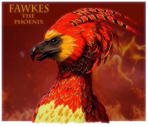 Harry Potter Fawkes The Phoenix By Jerome K Moore On Deviantart