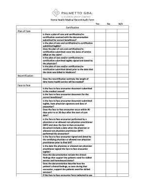 Medical Record Audit Checklist PDF Form - Fill Out and Sign Printable ...