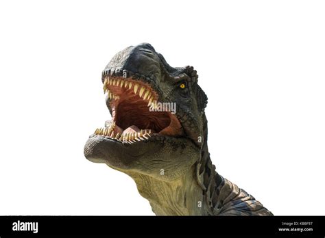 Tyrannosaurus Rex Aislado Sobre Fondo Blanco Fotograf A De Stock Alamy