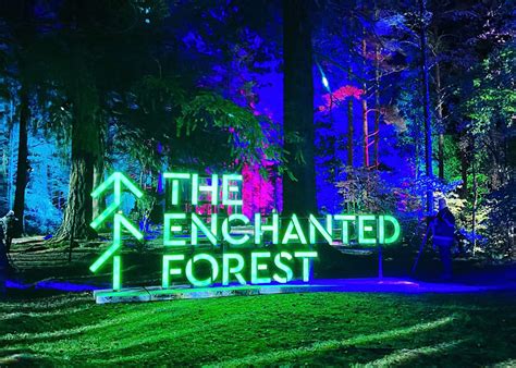 The Enchanted Forest, Pitlochry - Glasgow With Kids