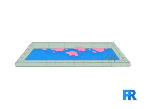 Pink Pool Slime And White Water Mold How To Get Rid Of Them Pool Research