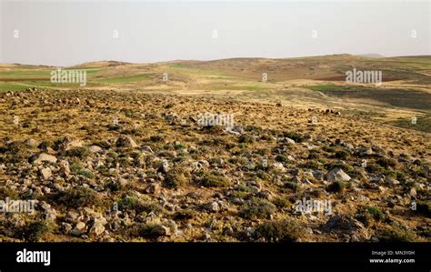 Arid climate landscape with sky Stock Photo - Alamy