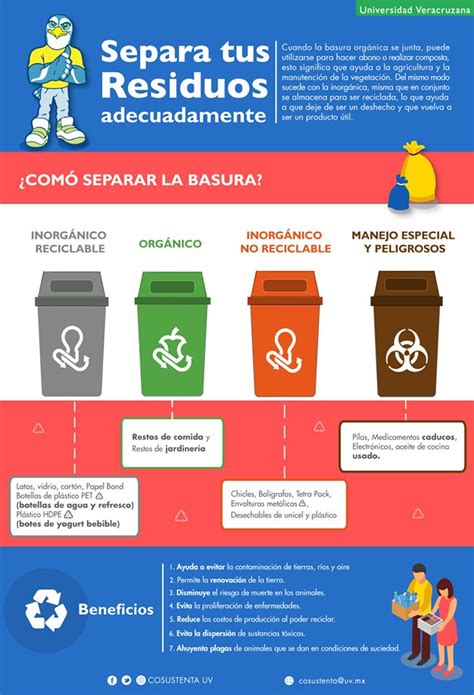 Beneficios De Separar La Basura Organica E Inorganica Estos Beneficios