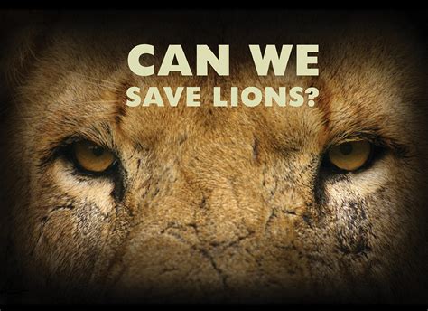 DEFENDER'S OF WILDLIFE CAMPAIGN on Behance