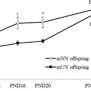 Hypothalamic Oxytocin Receptor OTR MRNA Levels During Neonatal