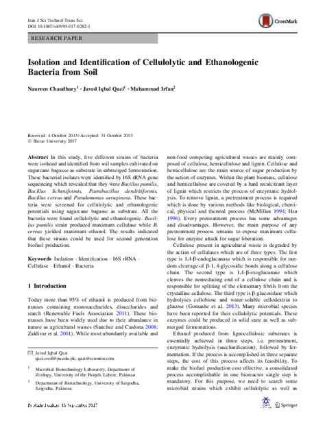 Pdf Isolation And Identification Of Cellulolytic Bacteria Involved In