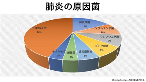 肺炎の診断・治療｜名古屋おもて内科・呼吸器内科クリニック｜荒畑駅・御器所駅