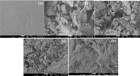 Sem Images Of The Char Residues Of A Pure Eva B Fr Eva C