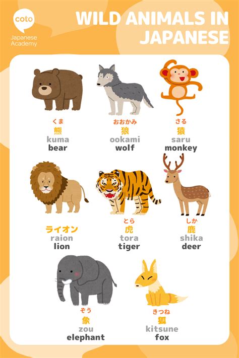 Farm Animals Japanese Vocabulary Artofit