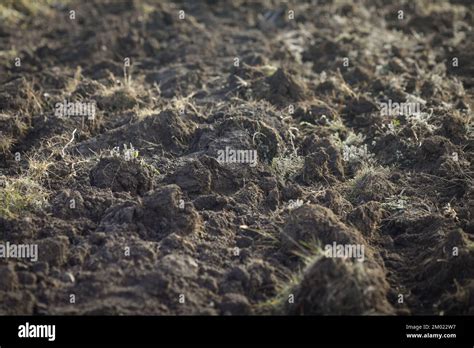 Shallow Depth Of Field Selective Focus Details With Tillage Land