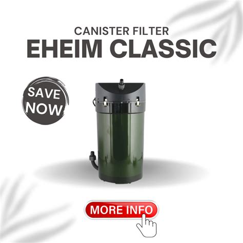 The Best Canister Filter Small For Reviews Top Picks Tiny Finz