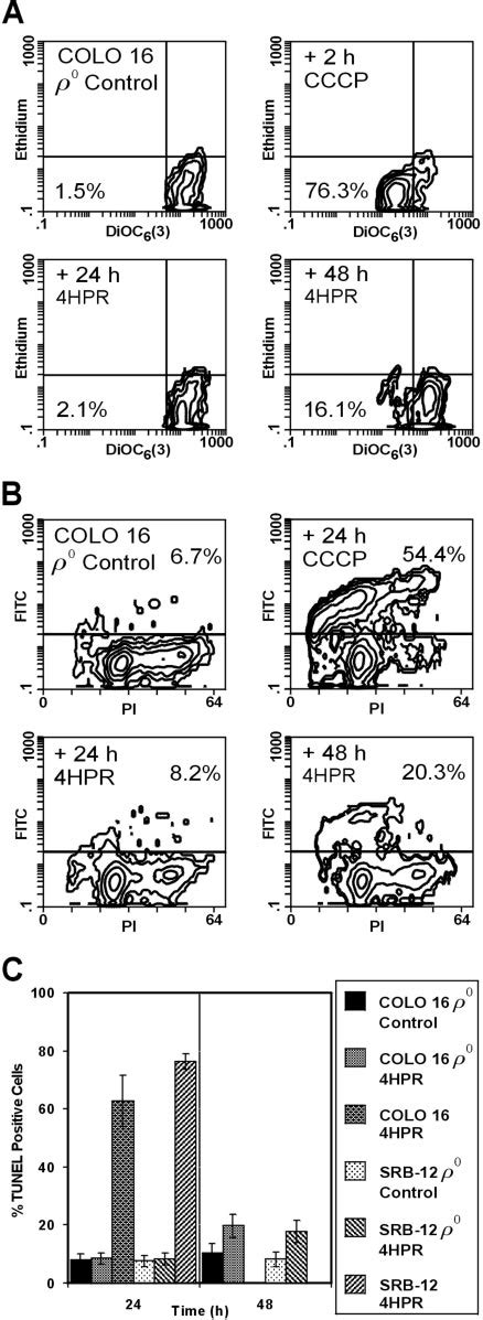 Cells Are Resistant To Hpr Induced Mpt And Apoptosis A Colo