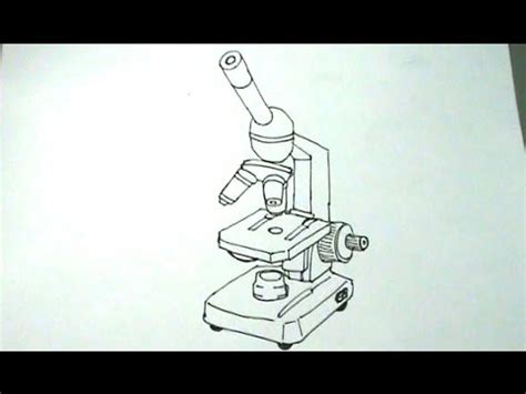 C Mo Dibujar Un Microscopio Ptico Paso A Paso Youtube