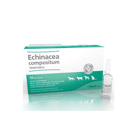 HEEL Echinacea Compositum Uso VETERINARIO 50 Fiale