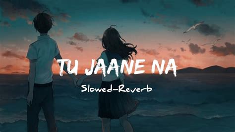 TU JAANE NA Slowed Reverb Lofi YouTube