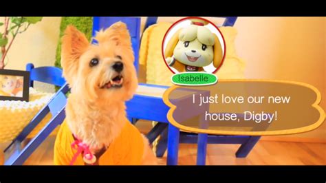 Animal Crossing: Happy Home Designer - Isabelle & Digby's New House ...