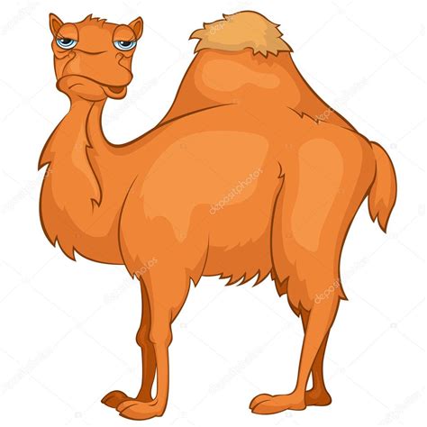 Cartoon Character Camel Stock Illustration By Visualgeneration