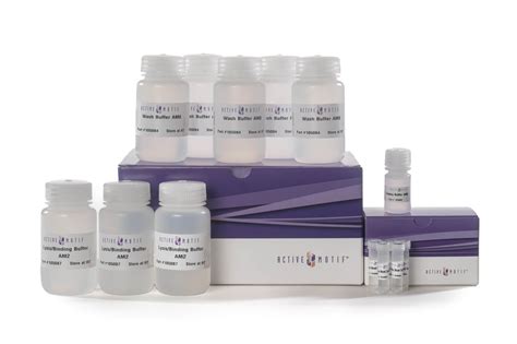 Cell Free Dna Extraction Kit Rapidly Isolate Cfdna