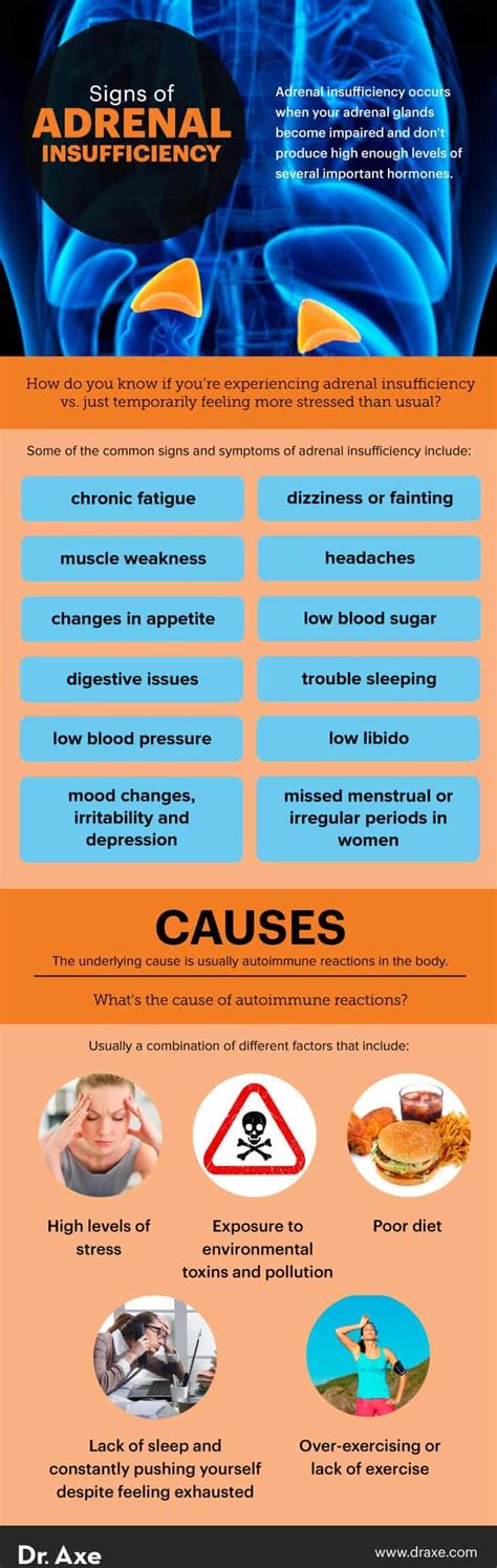 Adrenal Insufficiency Symptoms And Natural Ways To Manage Dr Axe