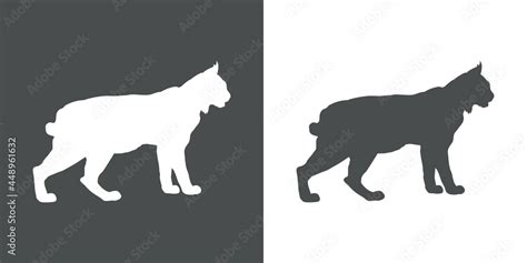 Silueta De Lince En Fondo Gris Y Fondo Blanco Stock Vector Adobe Stock