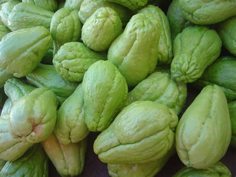 Another Abcd Mommy The Curious Chayote Squash