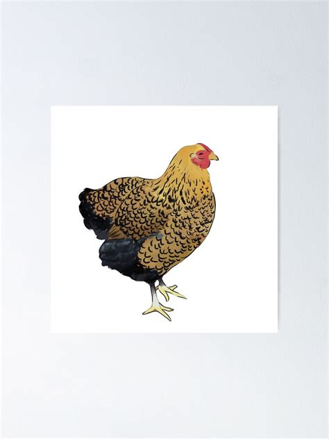 Gold Laced Wyandotte Poster For Sale By Gregschicks Redbubble